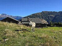 Casera Pustaresc  20250918 101835(0)