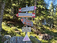 La palina vicino al bivacco  20250918 123314