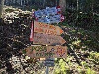 Bivio per i due sentieri visto al mattino  20250918 140657