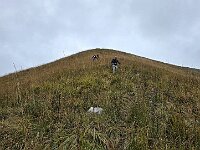 Arrivati sulla elevazione Q1601 scendiamo su debole traccia di sentiero verso SO  20250925 102721