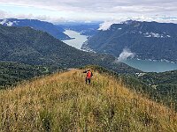 Discesa nell'erba alta  20250925 102724