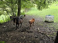 Passiamo dai Monti di Là  20250925 111309