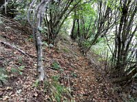 Sentiero che poco dopo diventa una sterrata  DSCN4345