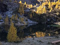 E con la foto del laghetto vi salutiamo, alla prossima!  1000096884