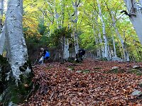 In verticale  1000097179