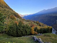 Sassan  20251012 082733