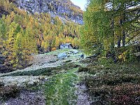 Per sbucare nella radura del secondo rifugio : Stabbio di Mezzo  20251012 103654