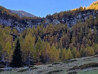 Il sentiero passa a sinistra del ruscello sale fino ad un intaglio attrezzato a gradini nella bastionata rocciosa  20251012 104023