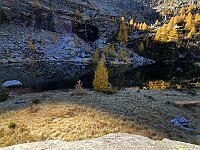 Bellissimo  20251012 113634