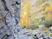 Comunque un gran lavoro di mantenimento  20251012 131420