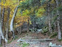 Molto verticale  20251012 141929