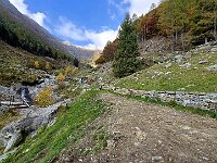 Poi proseguiamo  20251015 095351