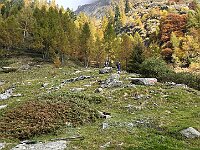 Da qui in poi il sentiero si fa ripido-ripido  20251015 102226