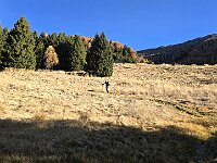 Sbuchiamo nei prati dell'Alpe Domas  20251109 090816