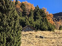 Alpe Domas  20251109 090820