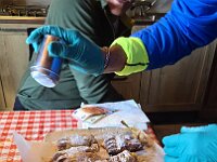 Poi il dolce, ottimo strudel  20251109 125438