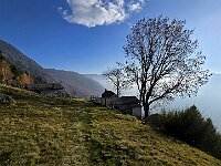 Faremo la classica sosta sul balcone panoramico (ultima casa nella foto al centro)  20251109 150833