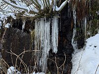 Ed i suoi ghiaccioli  20251126 095759