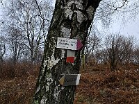 Al bivio successivo prendiamo a sinistra  20251202 103919