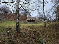 Passiamo da una bellissima radura prativa  20251202 104350