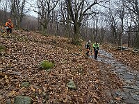 Scendiamo verso il castagneto di Enco  20251202 110216