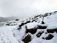 Proseguiamo  20251218 101012