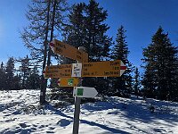 Bassa dei Cantoi 1935m, la massima elevazione di oggi  20251228 110216