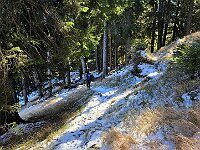 Piacevole  20251228 130919