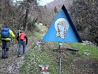 Dopo una breve salita a Q580 circa si trova un bivio, a sinistra per la Val Calolden sentiero 550, a destra per la Costa Dorna sentiero 550A  20260107 080944