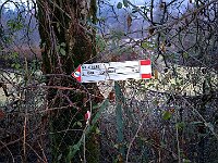 Inizio del sentiero (sterrato-asfaltato-cementato)  20260129 074159