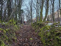 Sentiero per Cerano  20260129 090920