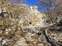 Tra la roccia calcarea  20260218 083056