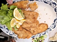 Ed ora carrellata di piatti dal Ristorante Narciso : Bis di secondi : merluzzo fritto con contorno di insalta, cipolle fritte e patatine  20260218 125736