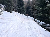 Sentiero che sale con molti tornanti  20260225 100003