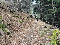 Ora si scende per -150m in direzione della Val Varrone, sentiero bello pulito e largo  20260304 084008