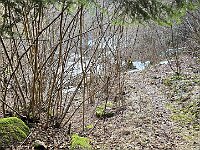 Tra i rami i laghetto che salutiamo  20260304 091613