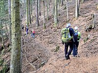 Traverso tra gli abeti  20260304 104407