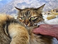 Coccolone  20260304 112405