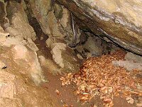 La grotta non è molto lunga (6 o 7 metri) ed è umida e presenta pareti inclinate, sicuramente non era molto comoda ma dispone di due fessure nella parte superiore, cosa che permetteva al fumo di uscire, in caso di accensione del fuoco di notte senza essere individuati.  4218935