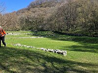 Sito archeologico  20260319 111803