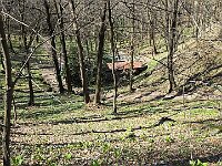 Altra baita Alpini  20260319 112505