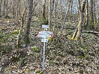 Indicazioni sempre ben presenti, qui si prosegue diritti in salita  20260325 081244